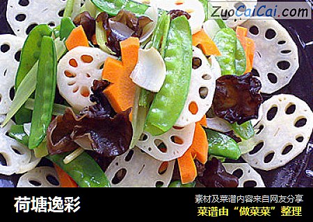 荷塘逸彩