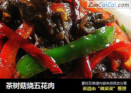 茶树菇烧五花肉