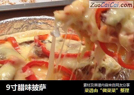 9寸腊味披萨