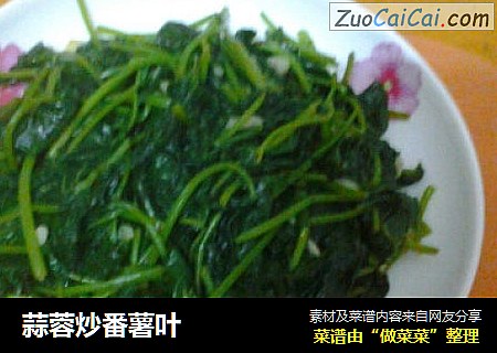 蒜蓉炒番薯叶