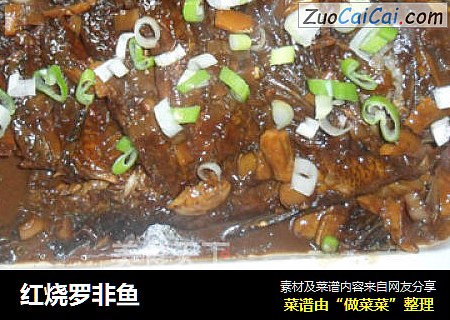红烧罗非鱼