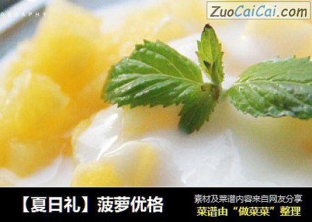 【夏日礼】菠萝优格