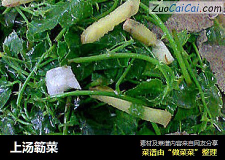 上汤簕菜