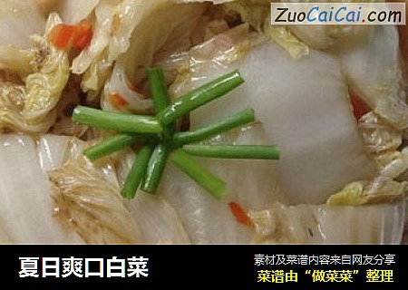 夏日爽口白菜