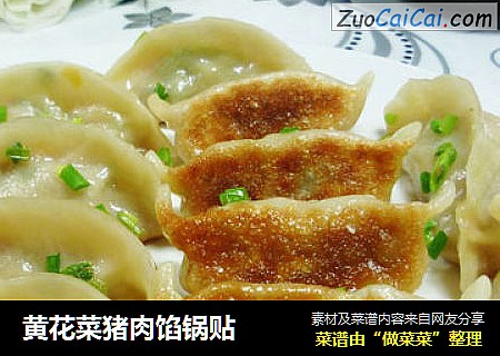 黄花菜猪肉馅锅贴