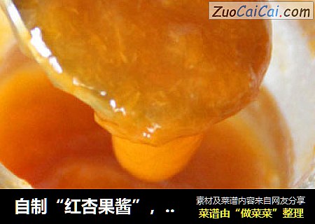 自制“红杏果酱”，酸甜开胃一个香