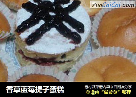 香草蓝莓提子蛋糕