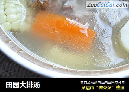 田园大排汤