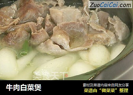 牛肉白菜煲