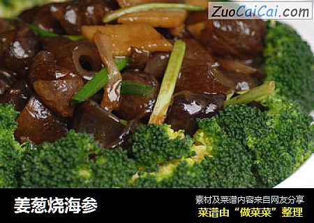 姜葱烧海参