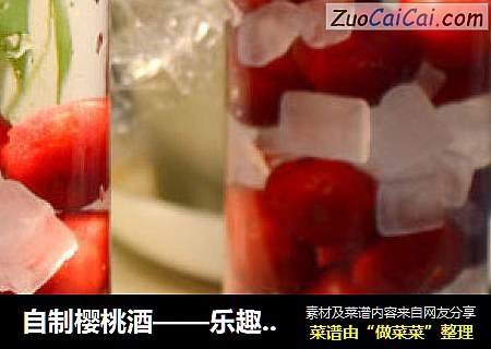 自制樱桃酒——乐趣多余味道的一次尝试