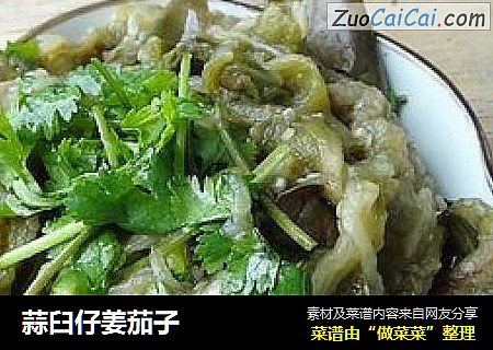 蒜臼仔姜茄子