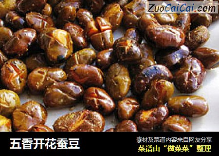 五香开花蚕豆