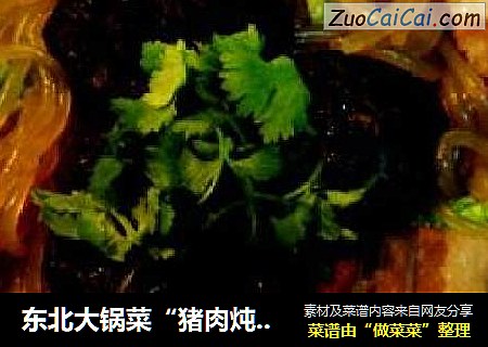 东北大锅菜“猪肉炖粉条”