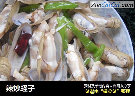 辣炒蛏子