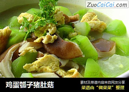鸡蛋瓠子猪肚菇