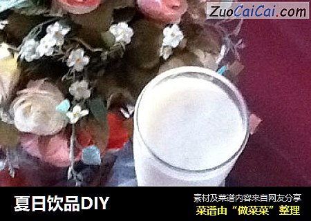 夏日饮品DIY