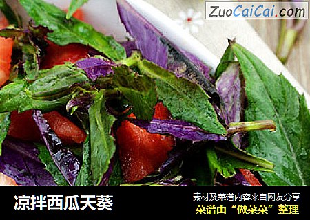 凉拌西瓜天葵