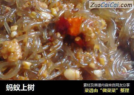 蚂蚁上树