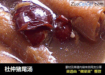 杜仲猪尾汤