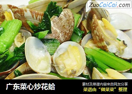 广东菜心炒花蛤