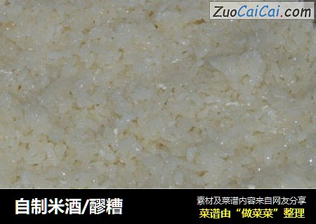 自制米酒/醪糟