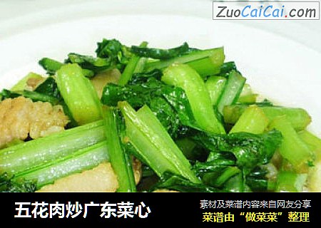 五花肉炒广东菜心