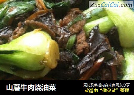 山蘑牛肉烧油菜