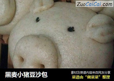 黑麦小猪豆沙包