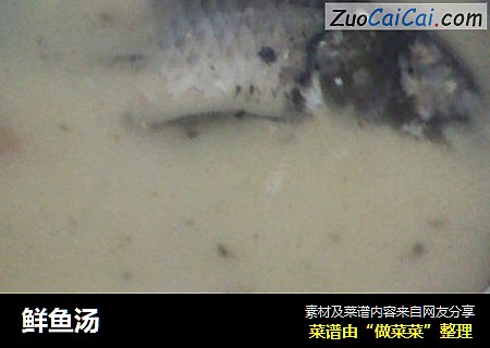 鲜鱼汤