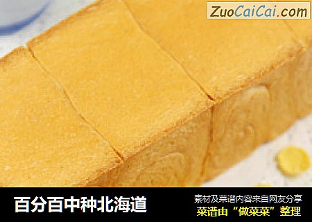 百分百中种北海道