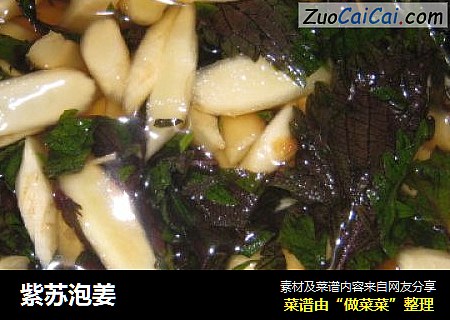 紫苏泡姜