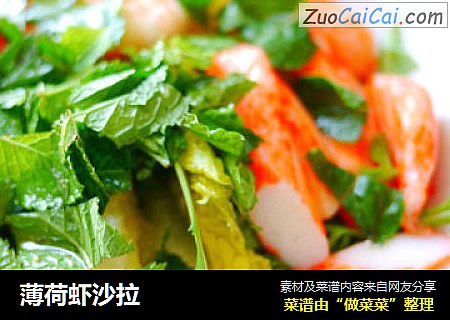 薄荷虾沙拉