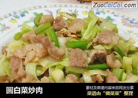 圆白菜炒肉