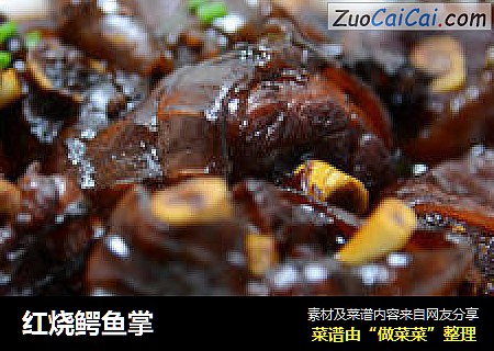 红烧鳄鱼掌