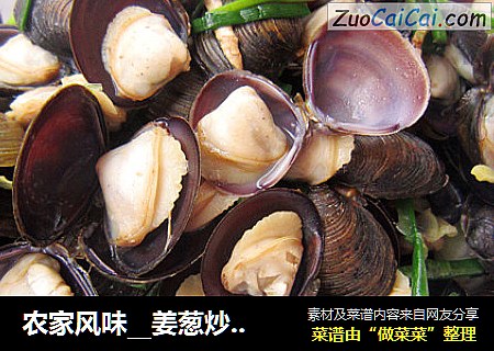 农家风味__姜葱炒沙蚬
