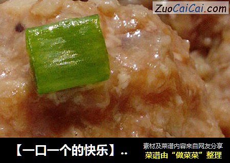 【一口一个的快乐】水蒸茄泥肉丸（附两种酱汁和后期处理吃法）