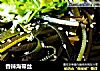 香辣海带丝的做法