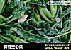 蒜香空心菜的做法