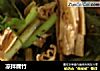 凉拌腐竹的做法