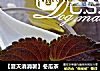 【夏天消消暑】冬瓜茶的做法