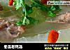 冬瓜老鸭汤的做法
