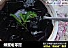 蜂蜜龟苓膏的做法
