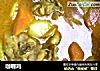 咖喱鸡的做法