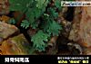 排骨焖南瓜的做法