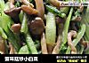 蟹味菇炒小白菜的做法