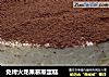 免烤火龙果慕斯蛋糕的做法