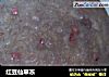 红豆仙草冻的做法