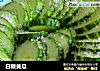 白糖黄瓜的做法