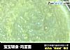宝宝辅食-鸡蛋面的做法